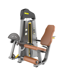 SEATED LEG EXTENSION F02