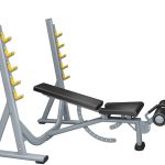 Commercial Multi Degree Bench With Rack