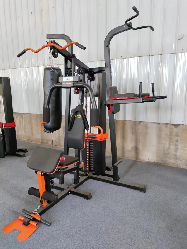 3 station multigym