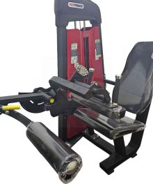 Commercial Seated Leg Curl