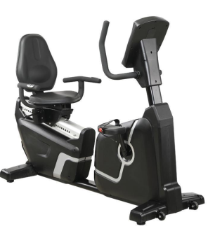 Commercial Recumbent Bike