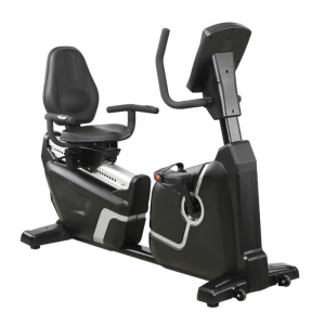 Commercial Recumbent Bike