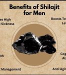 Shilajit pure resin