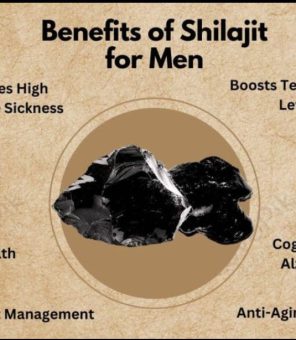 Shilajit pure resin