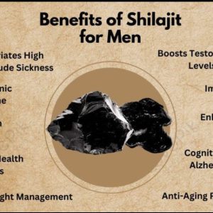 Shilajit pure resin