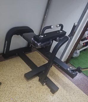 Seated calf raise commercial