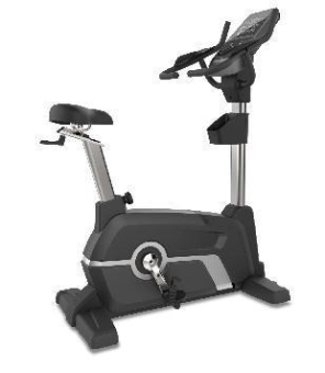 Commercial Upright bike