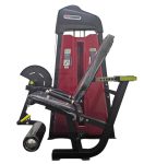 Commercial Seated Leg Extension F02