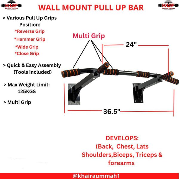 wall mount pull up bar
