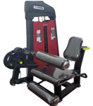 2 IN 1 COMMERCIAL LEG CURL & LEG EXTENSION