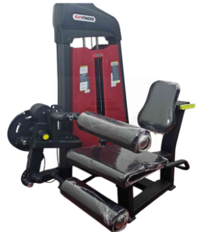 2 IN 1 COMMERCIAL LEG CURL & LEG EXTENSION