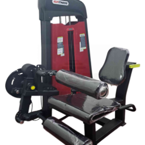2 IN 1 COMMERCIAL LEG CURL & LEG EXTENSION
