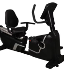 Commercial Recumbent Bike