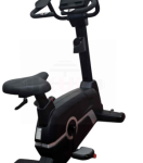 Commercial Upright Bike