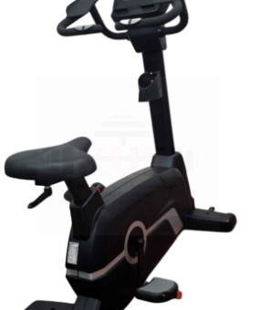 Commercial Upright Bike