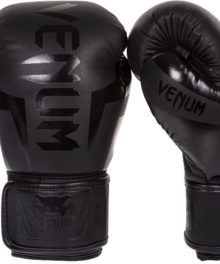 VENUM BOXING GLOVES